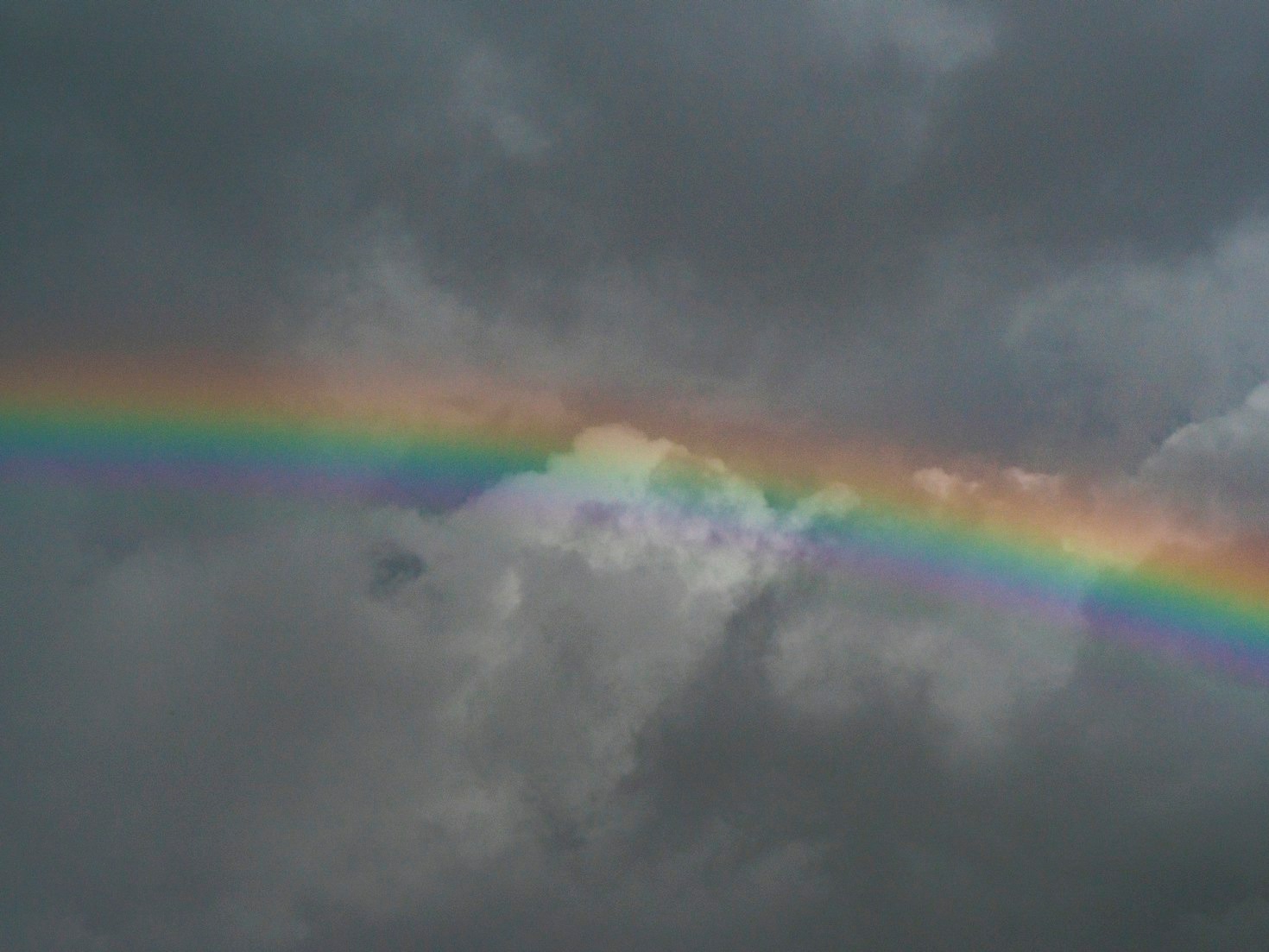 How RAINBOW RAYS is Redefining Cleaning Services